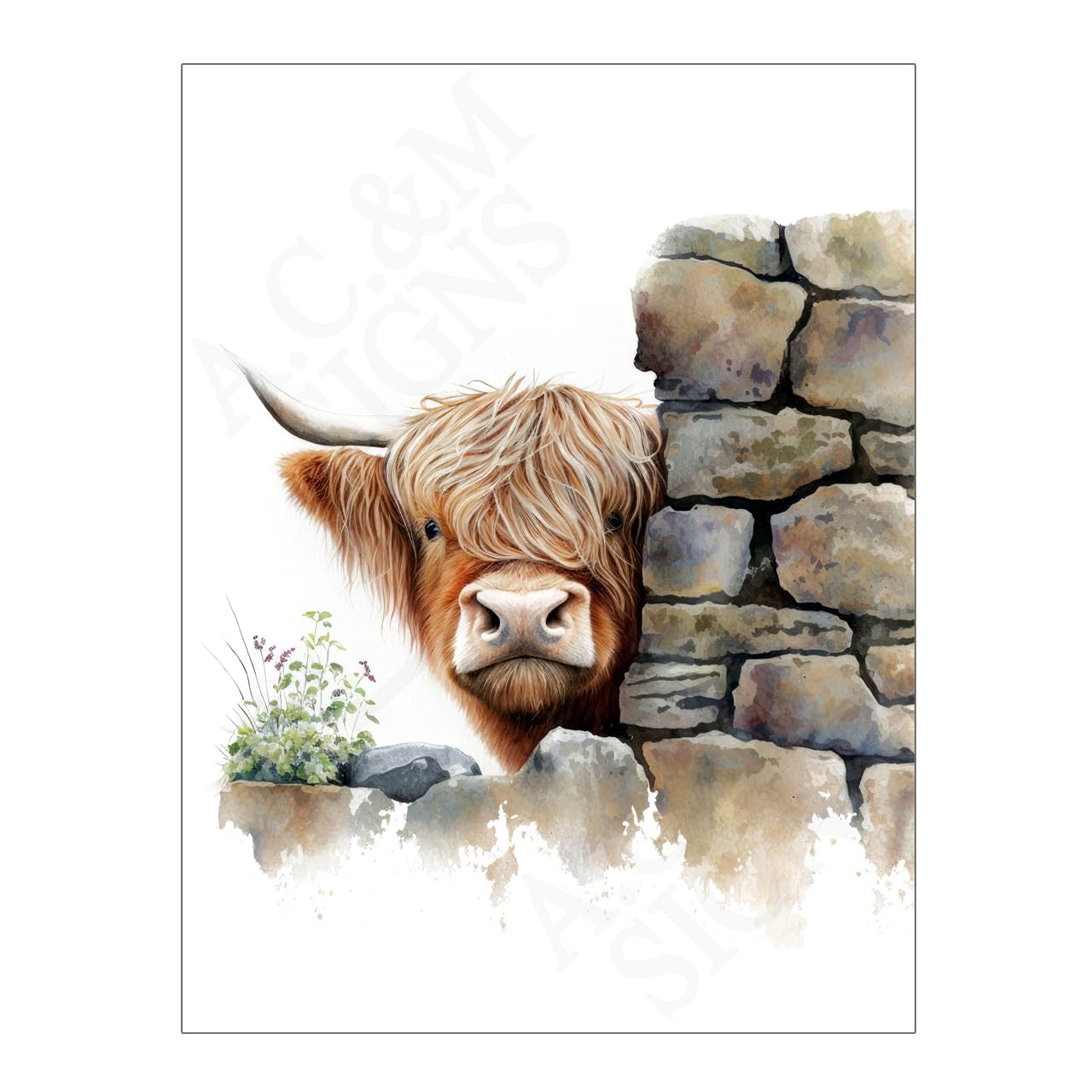 Peeking Highland Cow Wall Art Metal Sign Plaque Print, 8x6in 15573