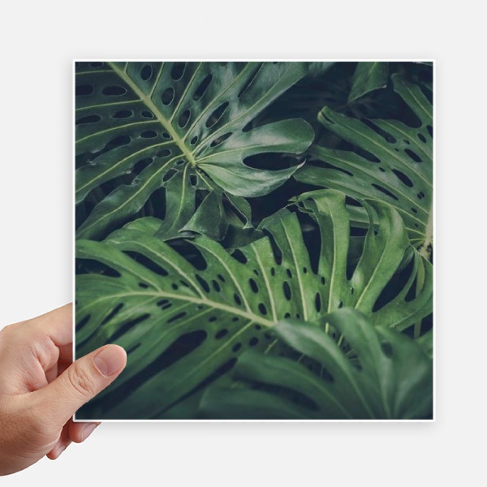 Autocollant plante feuille verte 20cm carré sticker mural pc valise