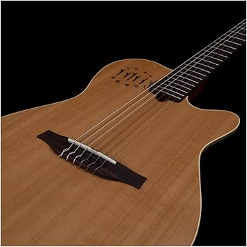Amazon | GODIN (ゴダン) ナイロンギター エレガットギター