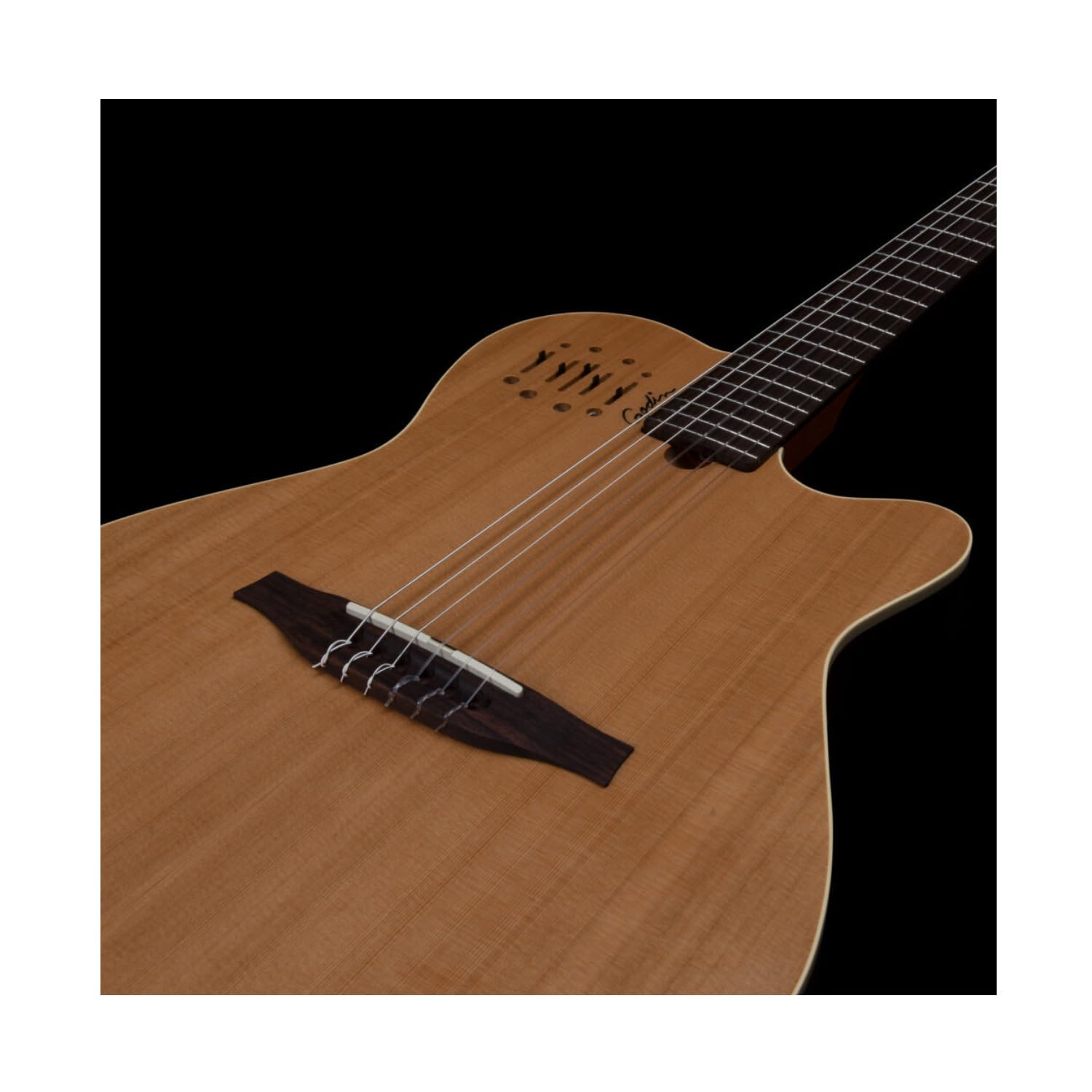 Amazon.com: Godin Multiac Nylon Encore Acoustic Electric Classical