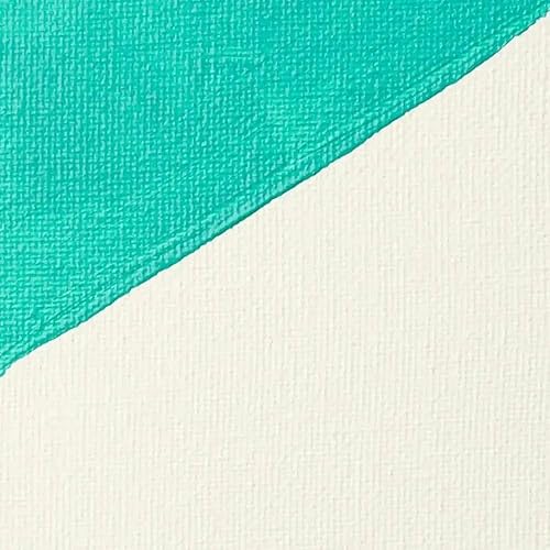 Miniatura 2 de Liquitex Basics Tubo mediano de Gesso para aplicación en superficies, 8.5 onzas, Blanco, 16 onzas Blanco,Transparente,Negro,Gris,Súper pesado