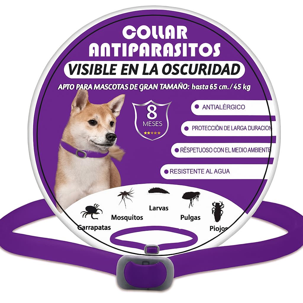 Collar antiparasitario Perros Grande y pequeño. Antipulgas. Desparasitante. Luminoso. Tamaño Ajustable. Antipulgas y garrapatas. (Violeta)