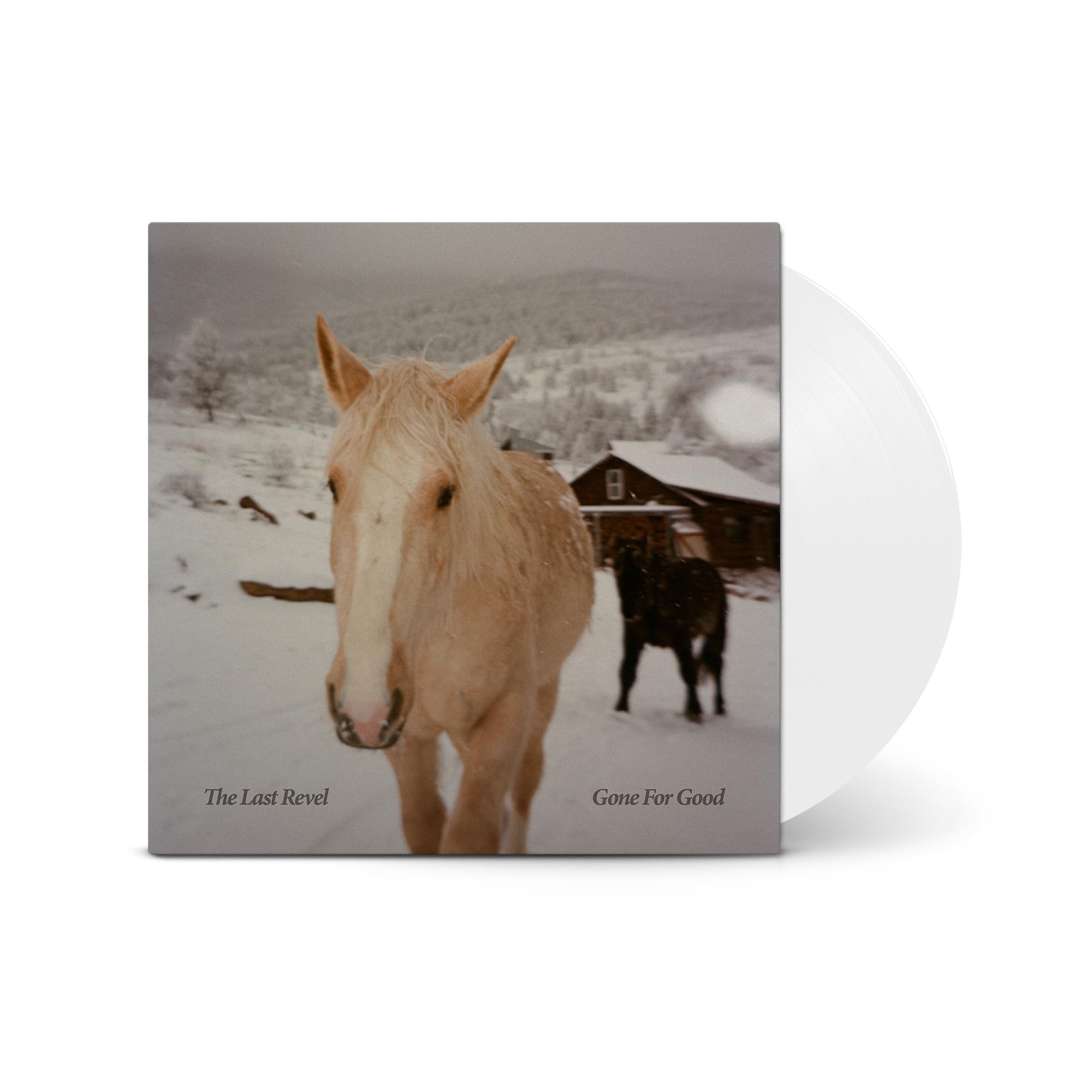 Gone for Good [VINYL]