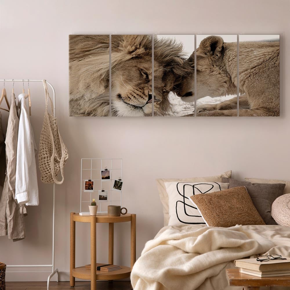murando - Cuadro en Lienzo León 5 piezas - Impresión en material tejido no tejido cuadros decoracion salon modernos lienzos decorativos dormitorios - Naturaleza Animal Paisaje