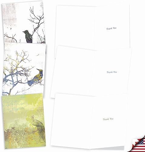 Miniatura 10 de The Best Card Company - Juego de 10 tarjetas de agradecimiento con sobres de 4 x 5.12 pulgadas, gratitud animal emplumada - Fancy Feathers M3003