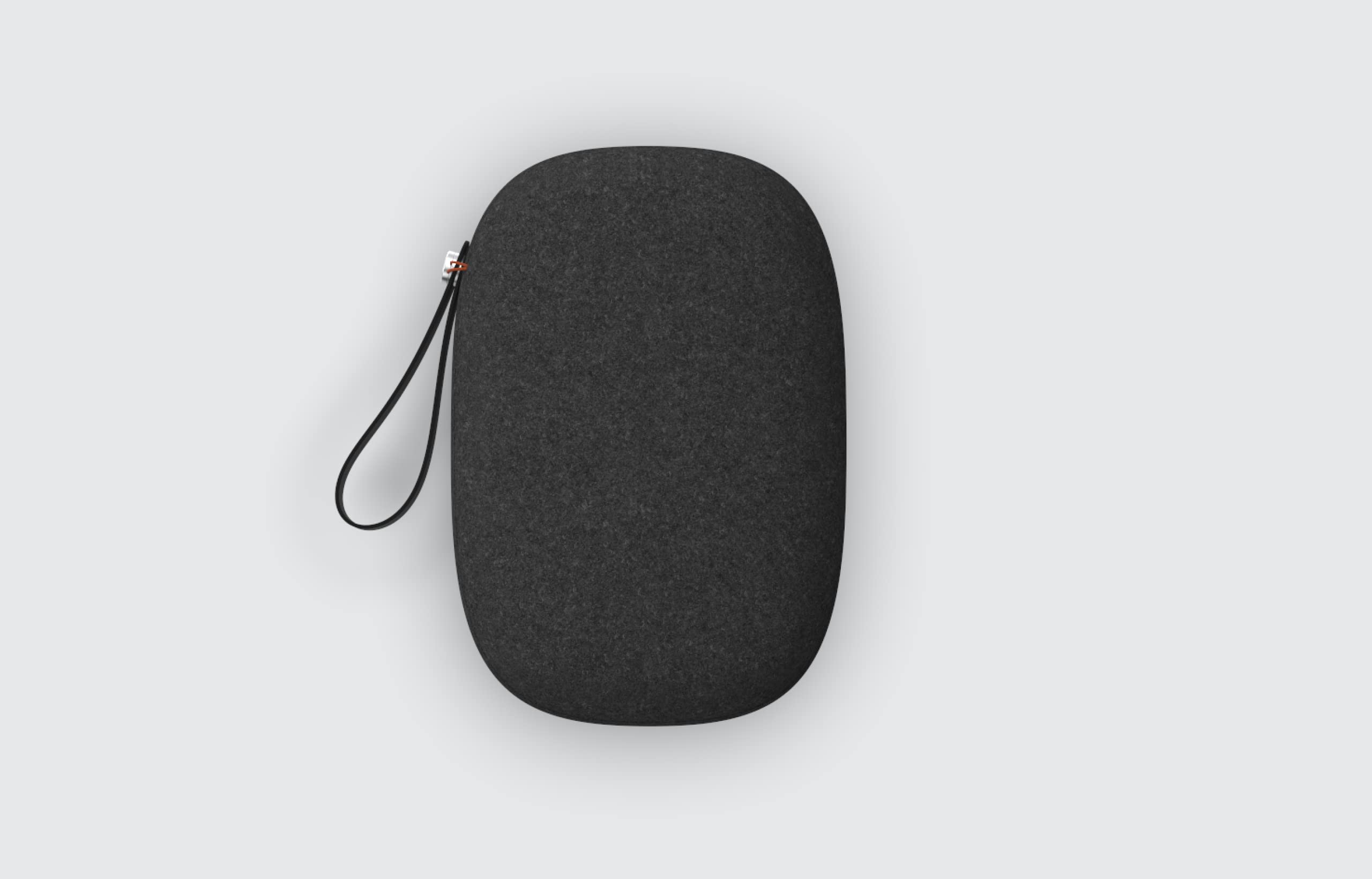 PICO 4 Carrying Case