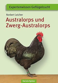 Australorps und Zwerg-Australorps
