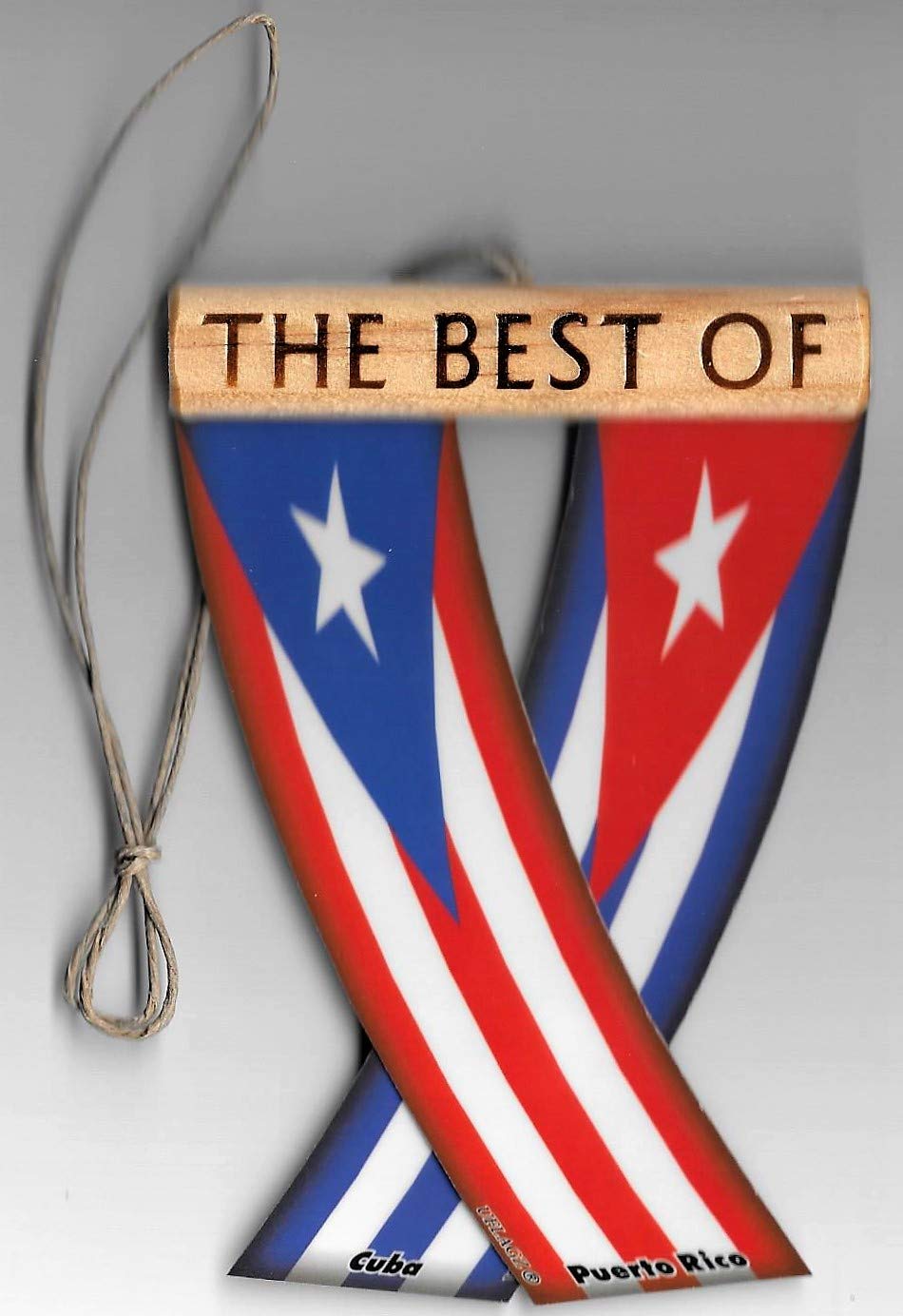 NEOPlex Solid Blue Car Window Flag