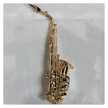 アルトサックス ゴールド 真鍮製 Amazon | プロフェッショナル サックス 高級真鍮ゴールド