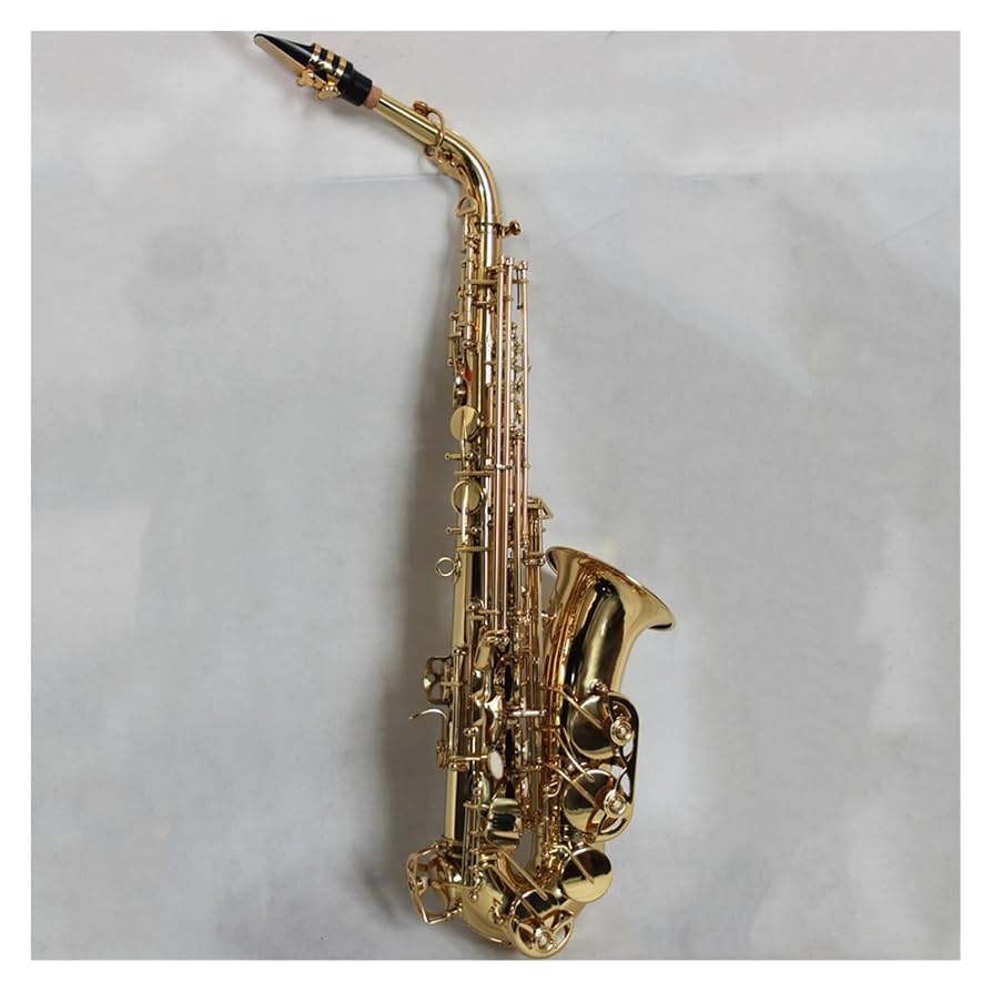 Amazon | プロフェッショナル サックス 高級真鍮ゴールド