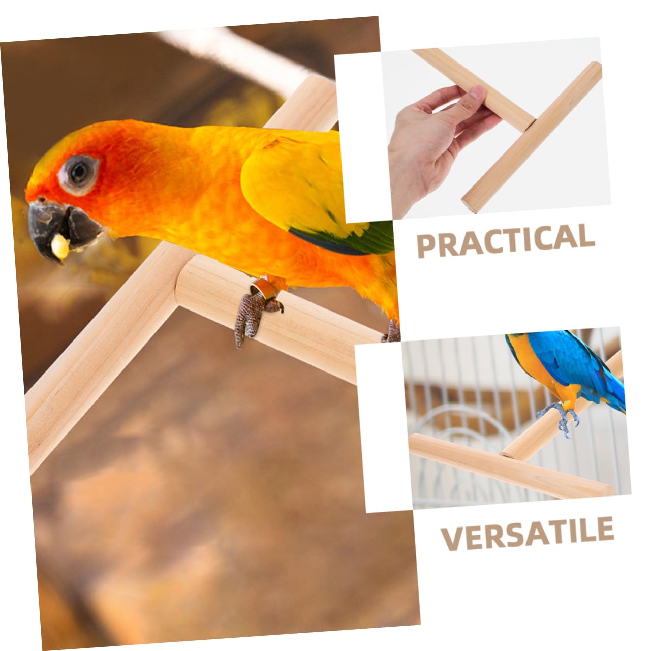 HANABASS 10piezas Soporte De Percha para Aves De Madera Natural para Periquitos Loros y Cockatiels Accesorio De Jaula Práctico y Duradero