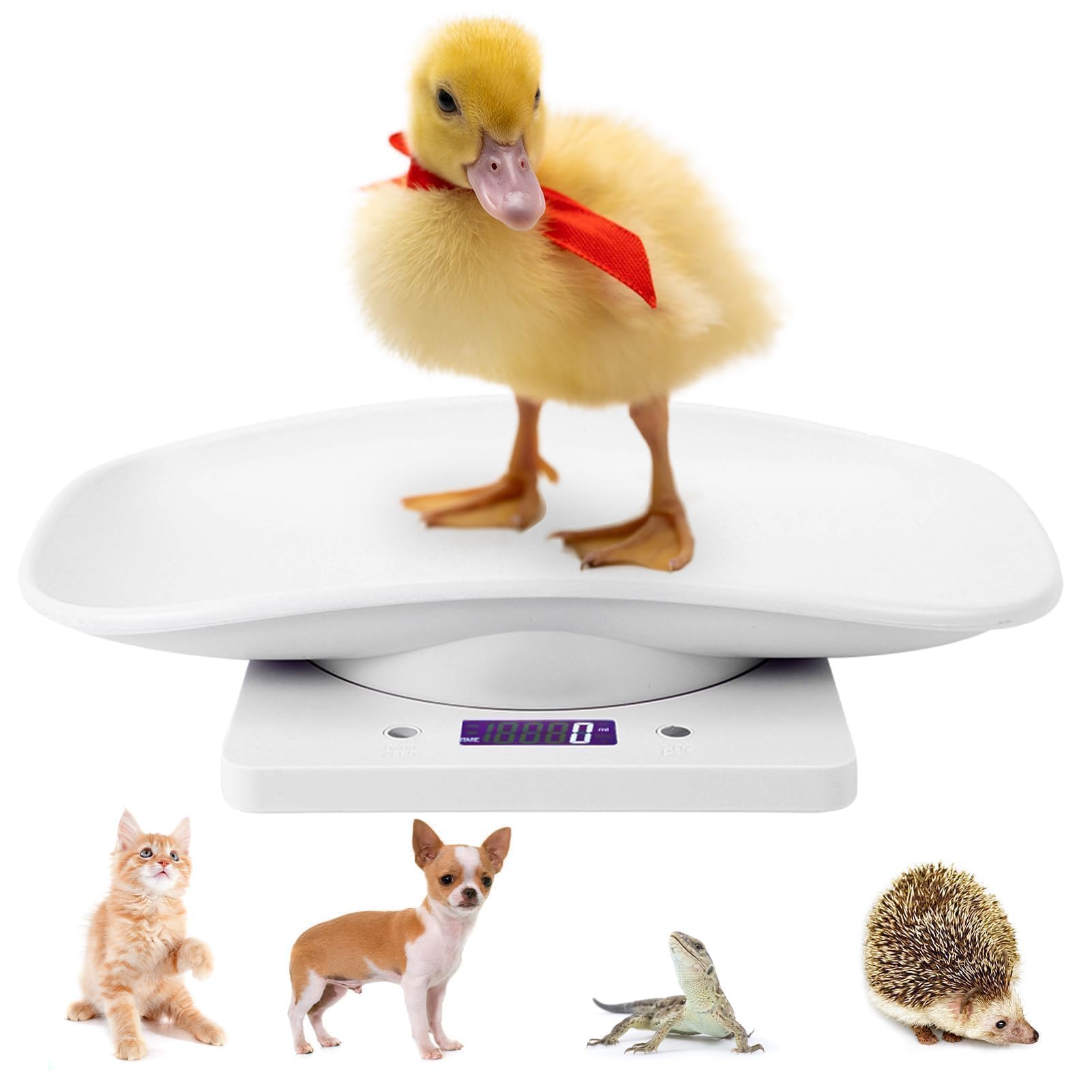 Agatige Báscula De Peso para Mascotas Pequeñas 10kg/1g, Báscula Multifuncional Portátil con Bandeja Extraíble, Báscula Digital LCD Electrónica para Medir Peso del Recién Nacidos Animales (Máx 10 Kg)
