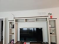 Review Image by qiong zhang