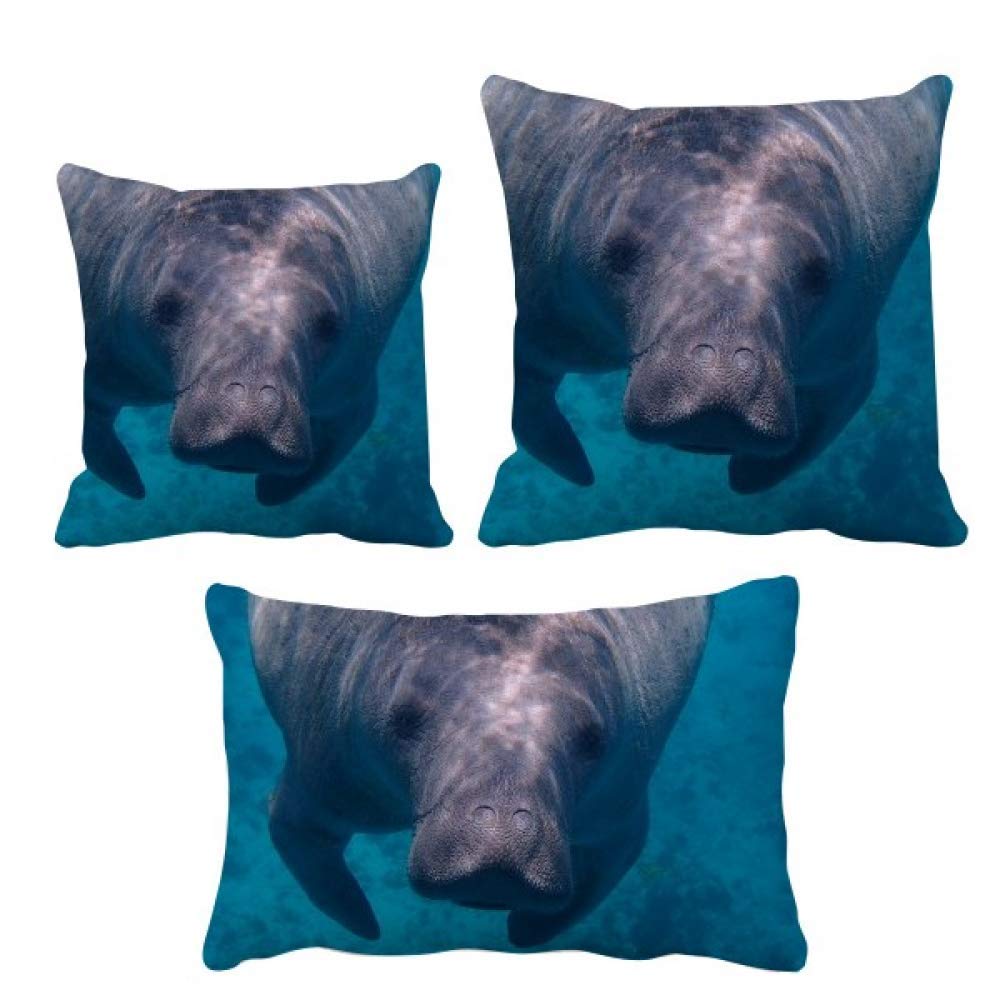 Housse de coussin animal marin pour décoration de canapé salon
