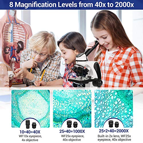 BNISE Mikroskop, 40X-2000X Mikroskop für Studenten und Labor, Ganzmetall-Labormikroskop mit optischen Glaslinsen… – Bild 3