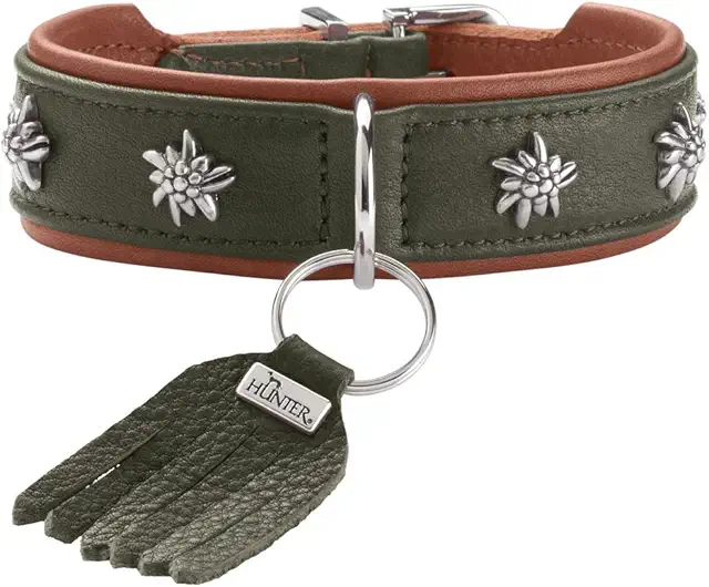 HUNTER Hundehalsband MÜNCHEN Leder grün/Cognac Trachten-Look Größe 47