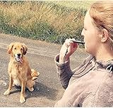4 Stück Hundepfeife,Hundepfeife mit Pfeifenband,Hochwertige Hunde Pfeifen,Hund Training Ultraschall Pfeife Hochfrequenz Einstellbare Hunde Zubehör mit Lanyard Hunde Training Kit