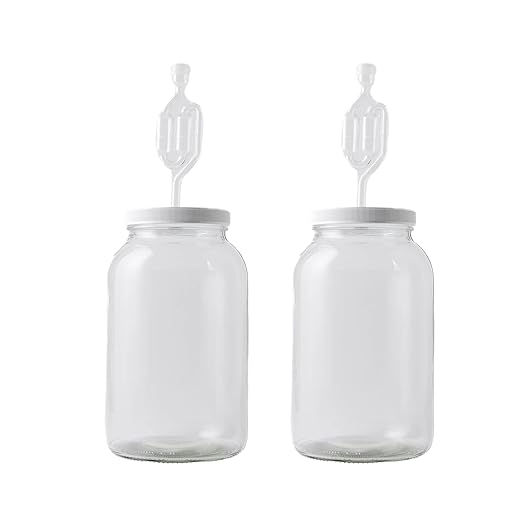 FastRack 1 Gallon Mason Jar Wide Mouth & Twin Bubble Airlock (Pack of 2) | for Fermentation, Pickling, Brewing & Dry Storage – BPA-Free One Gallon Glass Jar with Lid
