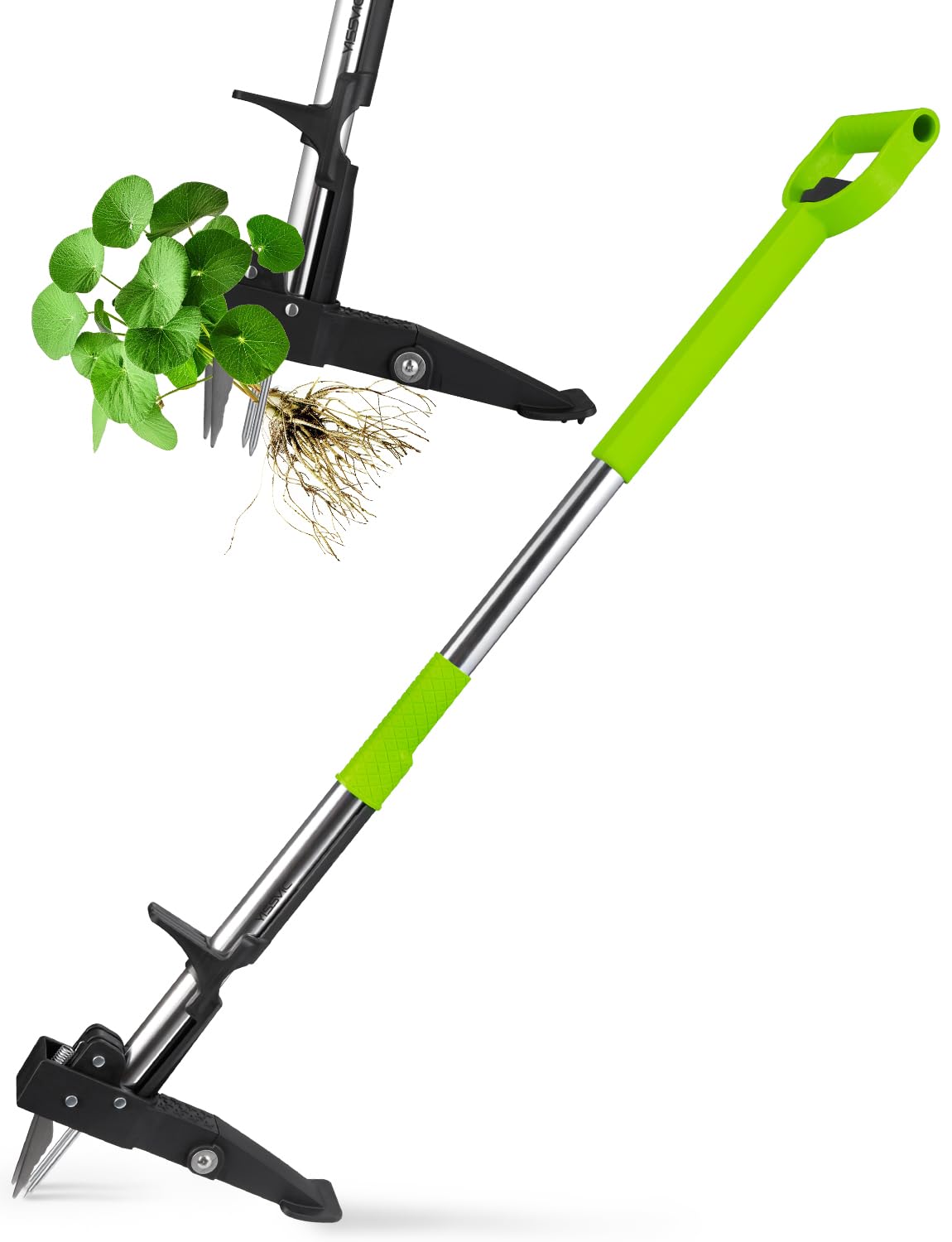 YISSVIC Weed Puller Stand-up Weed Removal Tool Stainless Steel 4-Claw with Foot Pedal, Telescopic Root Remover for Garden, Adjustable 100-120cm D-Shaped Non-Slip Handle (Green)