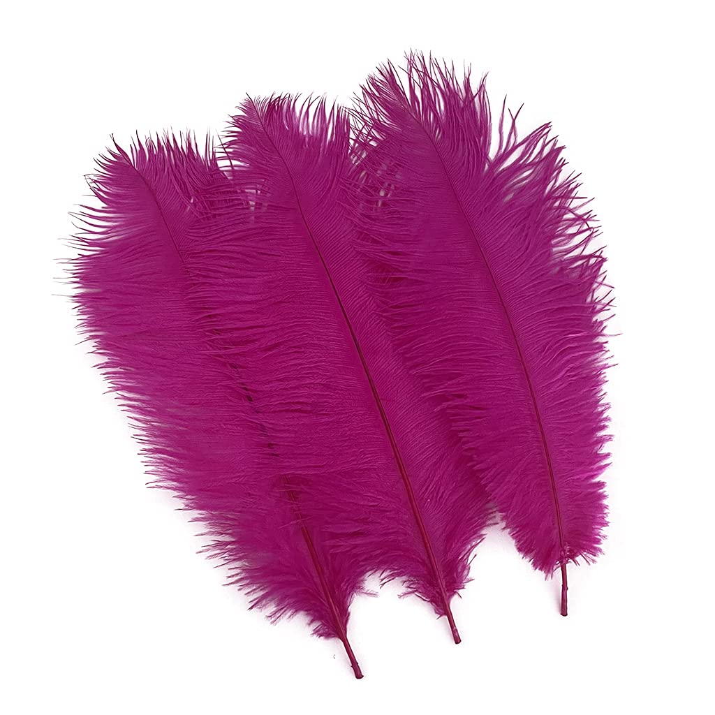 Plumes d'autruche naturelles de 25-30 cm | Lot de 20 pièces pour décorations de mariage et fêtes