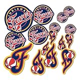 Desert Cactus Indiana Fever Sticker WNBA Officially Licensed Vinyl Decal Laptop Water Bottle Car Scrapbook Sheet (Type 1-1)
