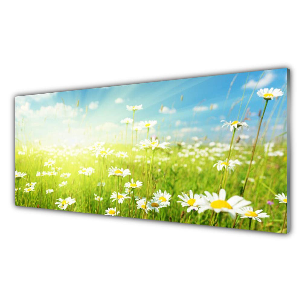 Tableau en Verre Acrylique 125x50cm Tulup Décoration Murale Salon Design Marguerites Nature