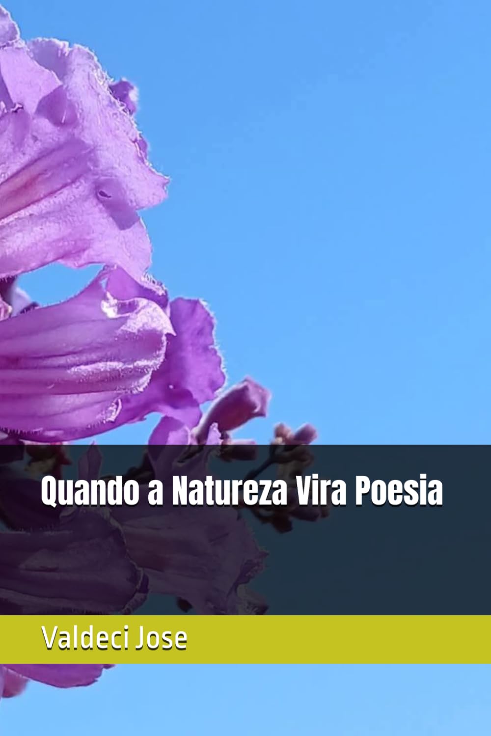 Quando a Natureza Vira Poesia