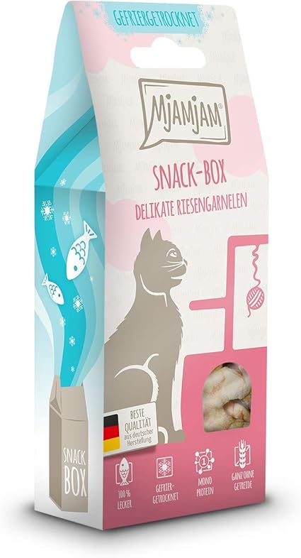 snack untuk kitten