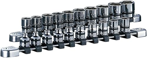 Nepros Juego de llaves de vaso de 38 pulgadas cuadradas (20 piezas)