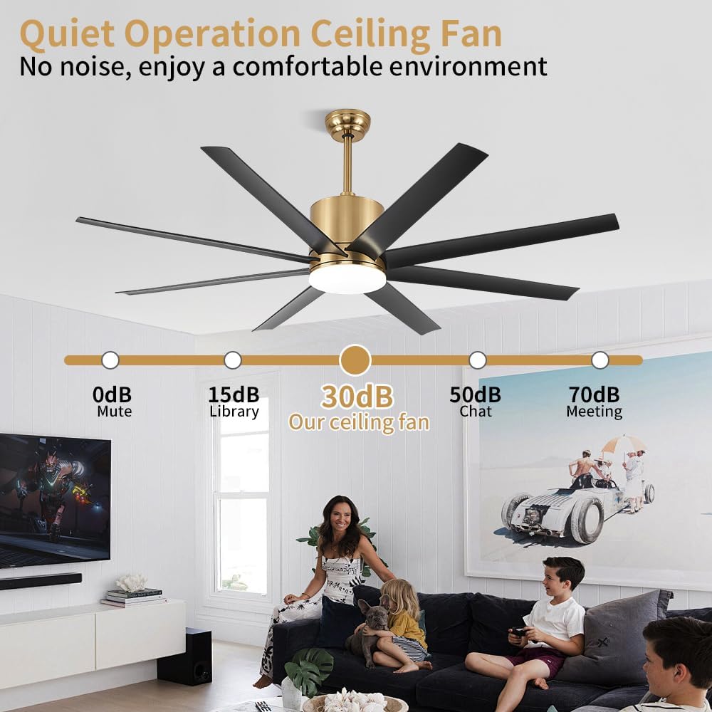 https://m.media-amazon.com/images/I/619KZGEQjwL._AC_SL1000_.jpg