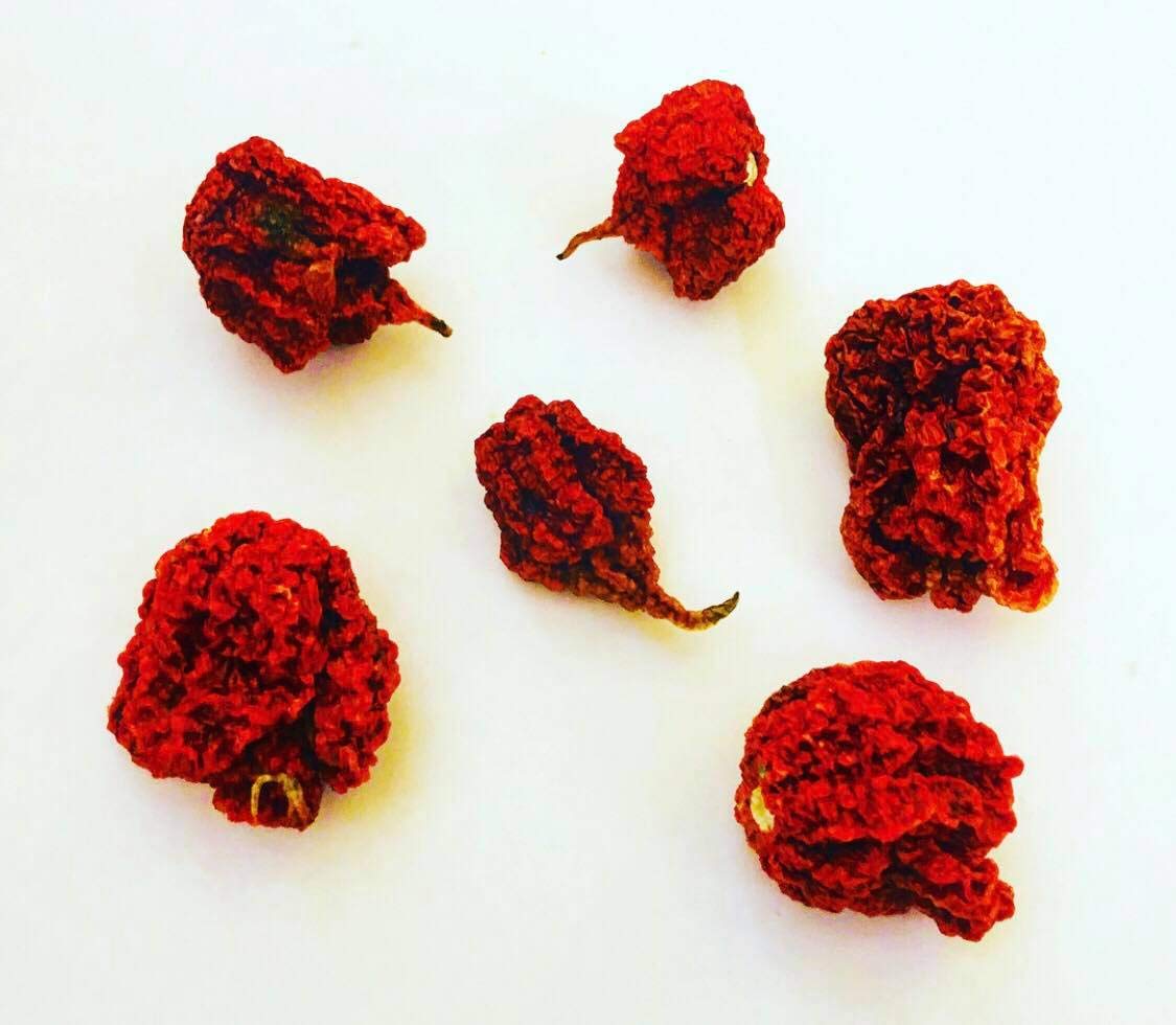 5 pièces + Fruits secs Chili dosettes Carolina Reaper