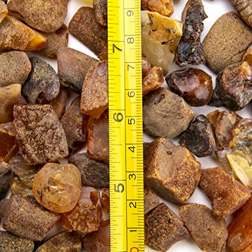 Raw Amber Stones – Certified Handmade Natural Unpolished Loose Ambar Piedra For Crafting Jewelry And Beads Polishing - Amber Culture #TOP4