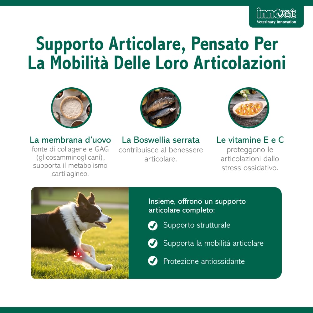Innovet Condrostress Mobility per Cani Adulti e Anziani Che Soffrono di Rigidità Articolare – 30 Soft Chews – Supporta Il Metabolismo Cartilagineo e la Mobilità (90 soft chews per cani)
