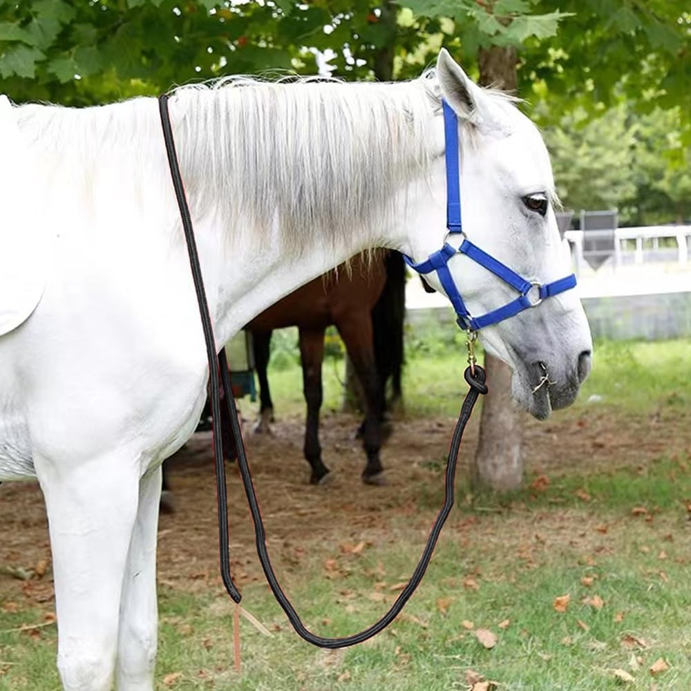 Rênes d'équitation corde tressée carrée personnalisées