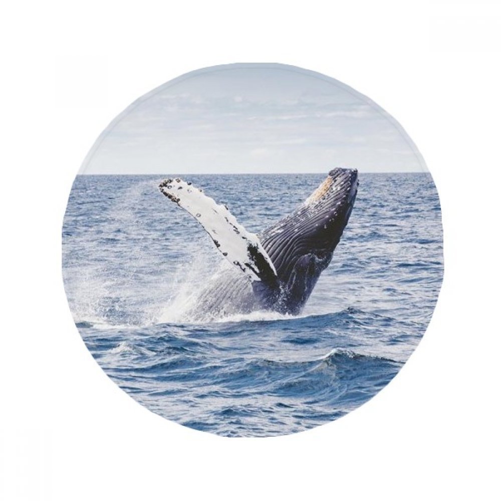 Tapis de bain baleine science nature pour une decoration de salle de bain maritime