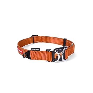 EzyDog Double Up Dog Collar, Large, Orange