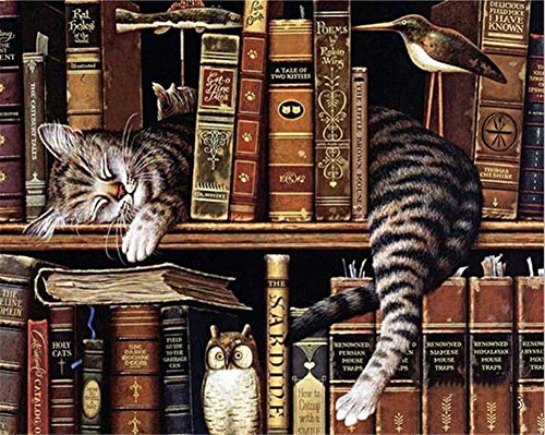 djjinhao - 1000 pièces Jeux de Puzzle Puzzle - Chat de bibliothèque - Jeux éducatifs pour Enfants...