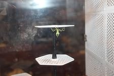 Review Image by Anthony Schilling Anthony Schilling