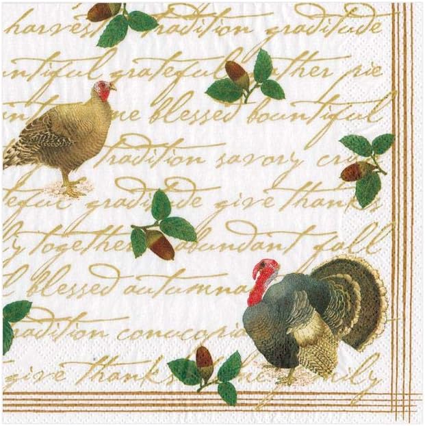 Caspari Founders' Thanksgiving Paper Cocktail Napkins - Two Packs of 20 Napkins, Fall Napkins made of Triple Ply Paper, Autumn Themed Disposable Napkins, Great Dinner and Cocktail Napkins
