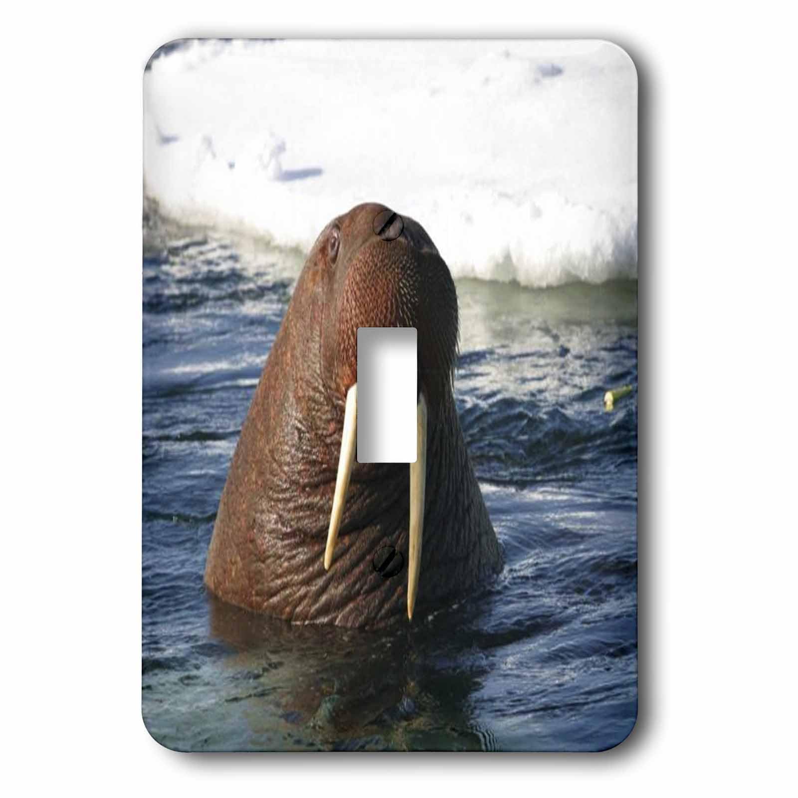 Interrupteur à baïonnette Bull Walrus 3dRose LSP_49298_1 plaque murale décorative