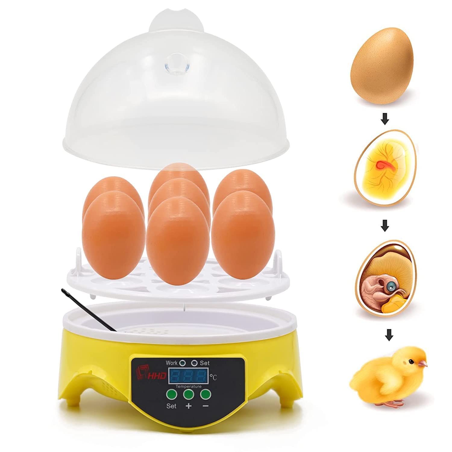 Incubadora Huevos Gallina, Incubadora AvíCola, Volteadora Manual de Huevos, Control Inteligente de Temperatura, Incubadora con Pantalla Digital Led, Para Pollos, Patos, Codornices(EU)