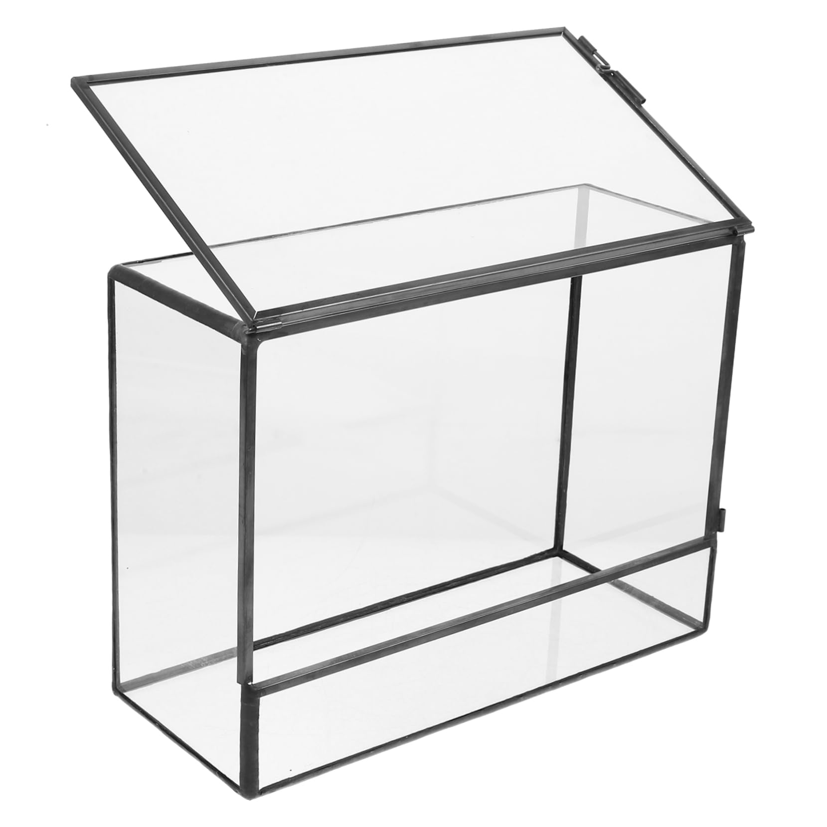 Terrario in Vetro Geometrico per Piante, Contenitore Decorativo