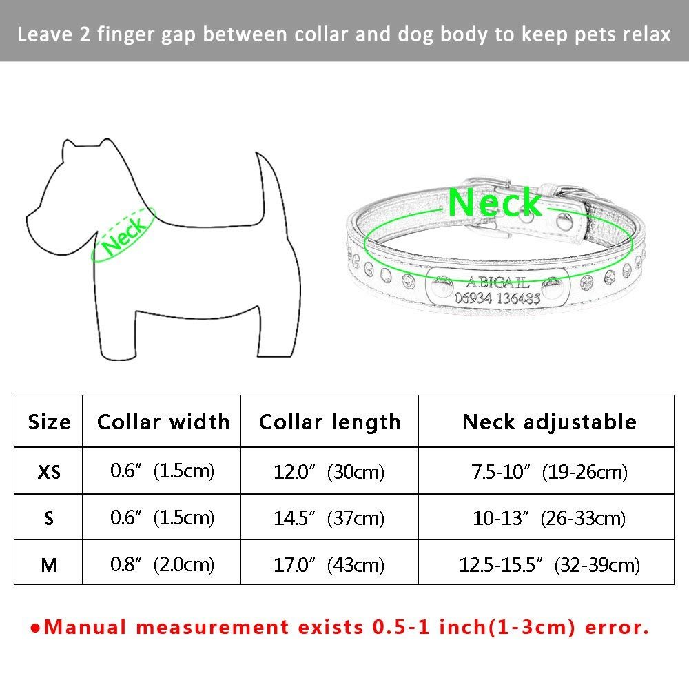 Didog Personalisiertes Lederhalsband Mit Strass & Namensschild – Gepolstert Für Kleine Hunde & Katzen