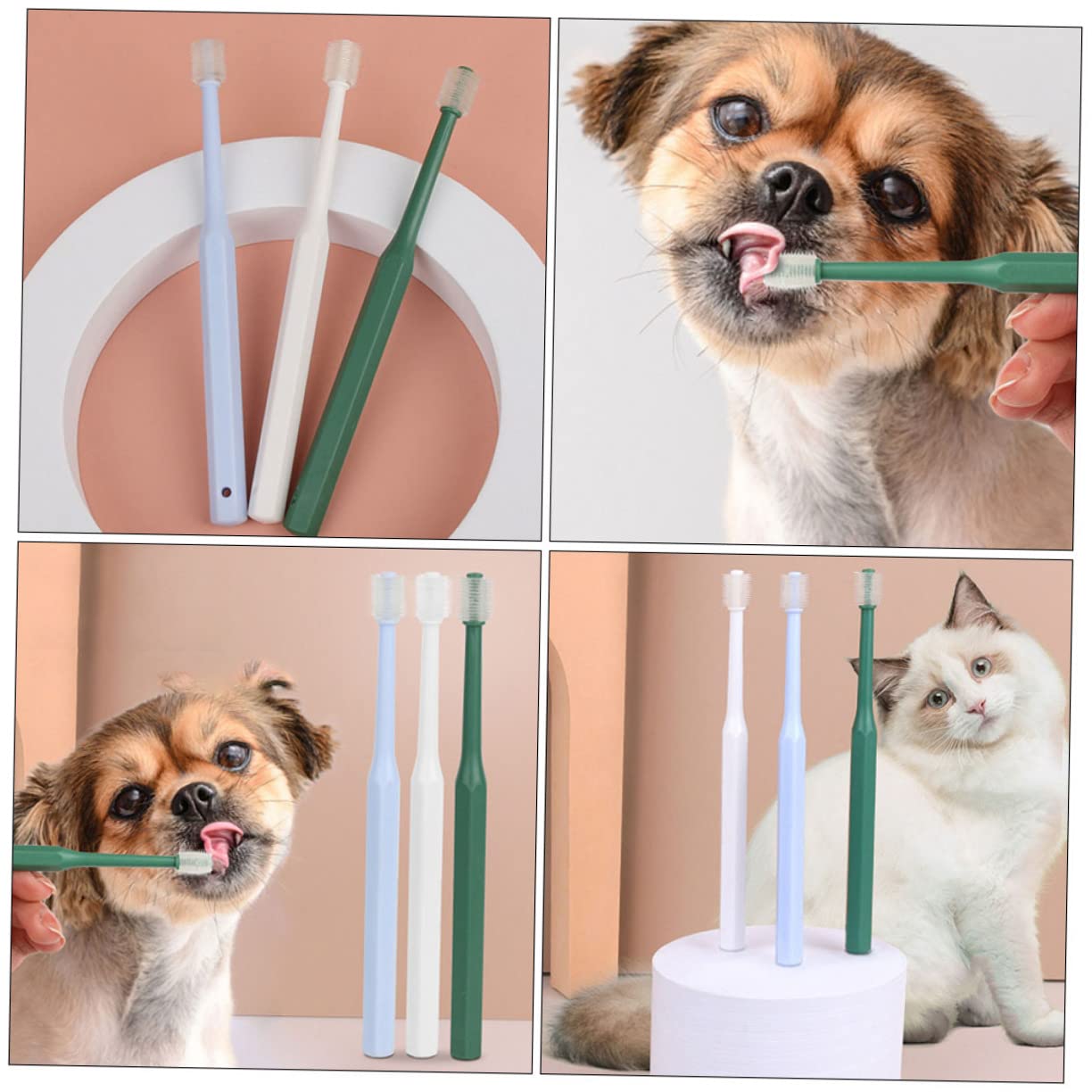 INOOMP 12stücke Handheld Haustierzahnbürste Zahnpflege Für Hunde Und Katzen Ergonomisches Design Wiederverwendbare Kunststoffzahnbürste Zur Gründlichen Mundreinigung