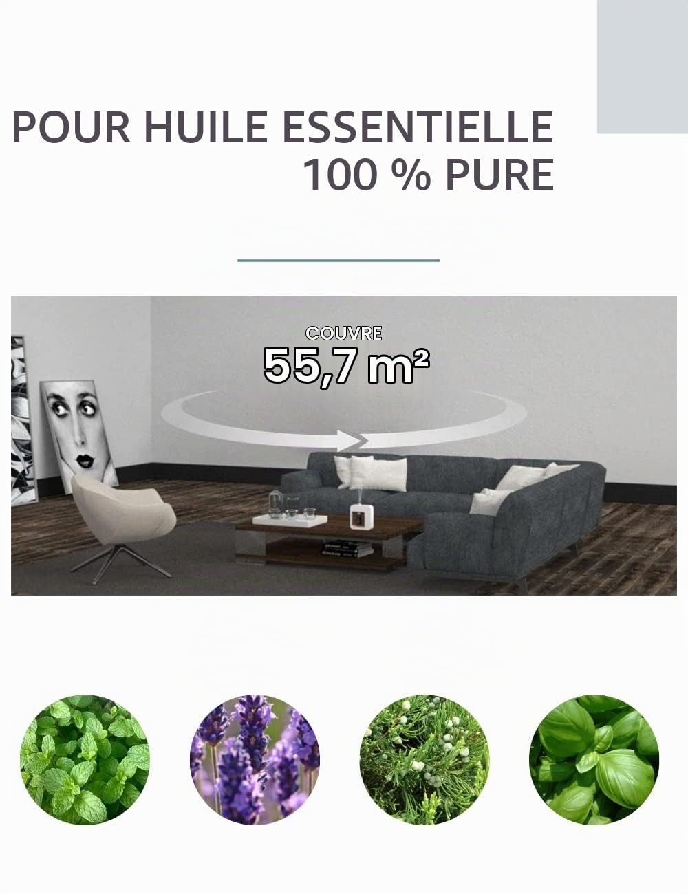 Diffuseur d'aromathérapie - Diffuseurs de qualité professionnelle pour huiles essentielles, technologie de nébulisation
