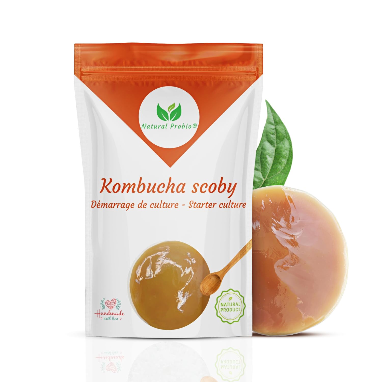 Natural Probio® Original Kombucha Scoby – Kit di avviamento per la coltivazione – Mere de Kombucha – Autentico ceppo + istruzioni complete, ricetta e consigli