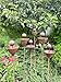 Rusty Metal Flower Garden Stakes - Set of 6 - Rustic Outdoor Decor, Bee Water Station