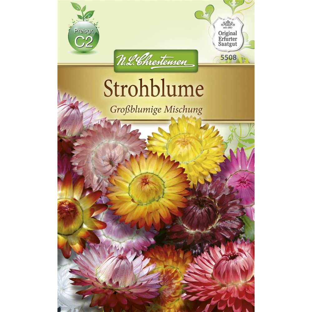 Chrestensen Strohblume 'Groblumige Mischung' : Amazon.de: Garten