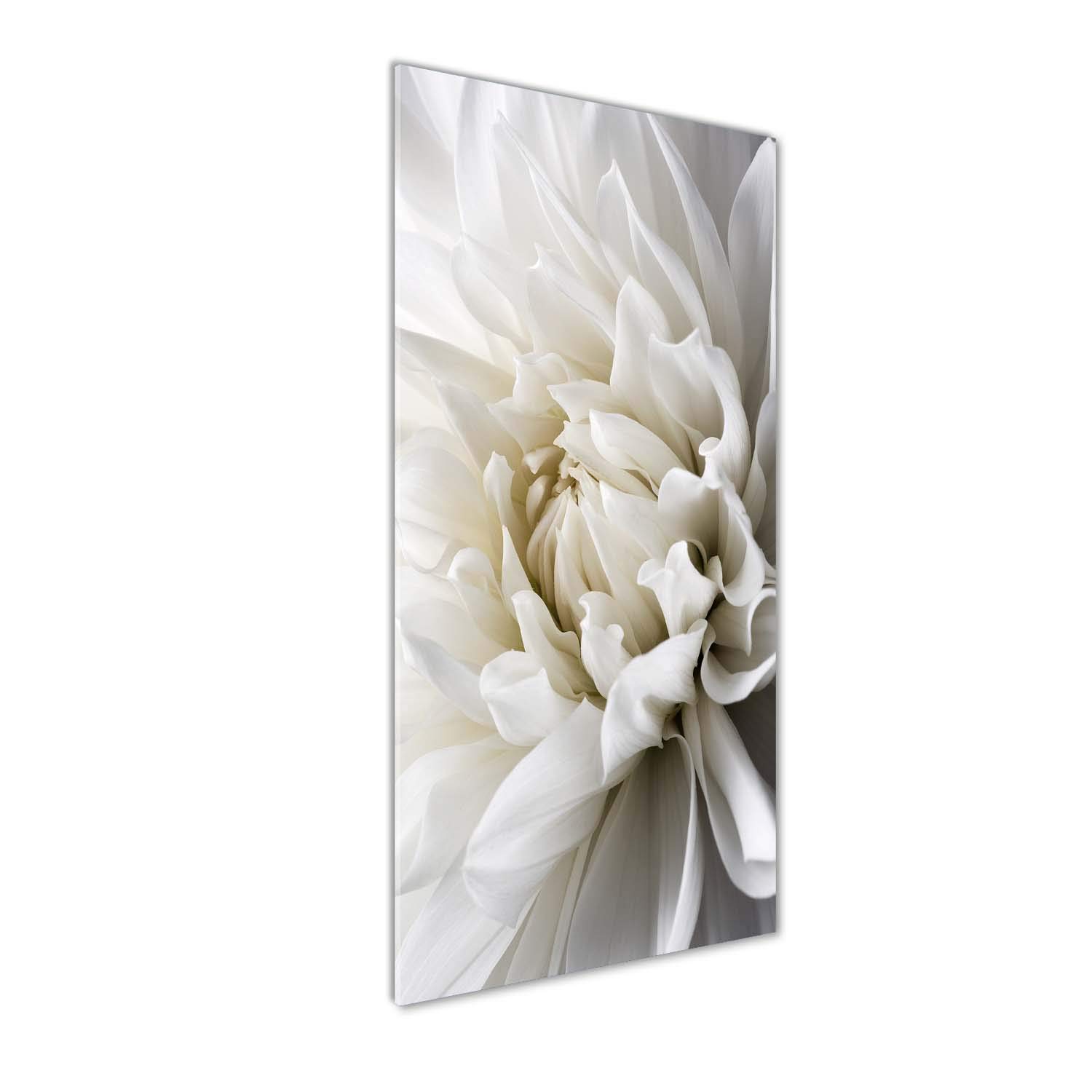 Dahlia blanc impression sur verre acrylique Tulup, tableau mural 50x125 cm