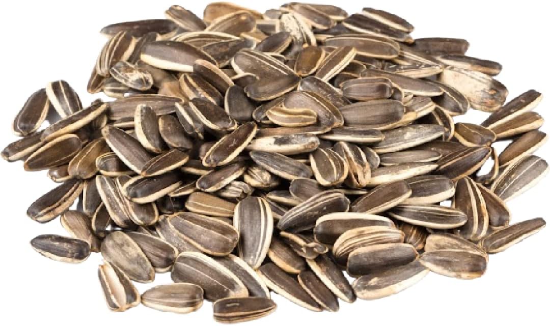 Jumbo Lightly Sea Salted Sunflower Seeds by Gerbs - 2 LBS. - Top 14 Food Allergen Free & Non GMO - Vegan, Keto Safe, Kosher - Grown in USA